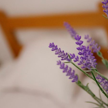 Guesthouse Night&Day Σουμπότικα Εξωτερικό φωτογραφία